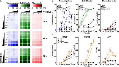 Priming of Anti-tumor Immune Mechanisms by Radiotherapy Is Augmented by Inhibition of Heat Shock Protein 90